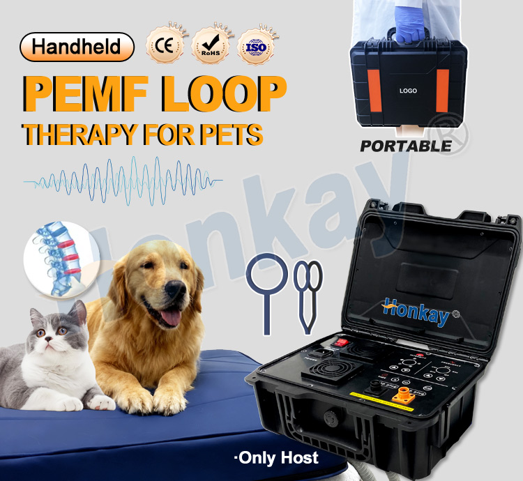 Dispositivo PEMF per la cura p - Health Wellness Massage recensione e prezzo