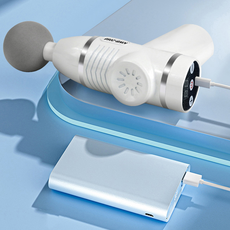 Pistola massaggiante con 12 te - Health Wellness Massage recensione e prezzo