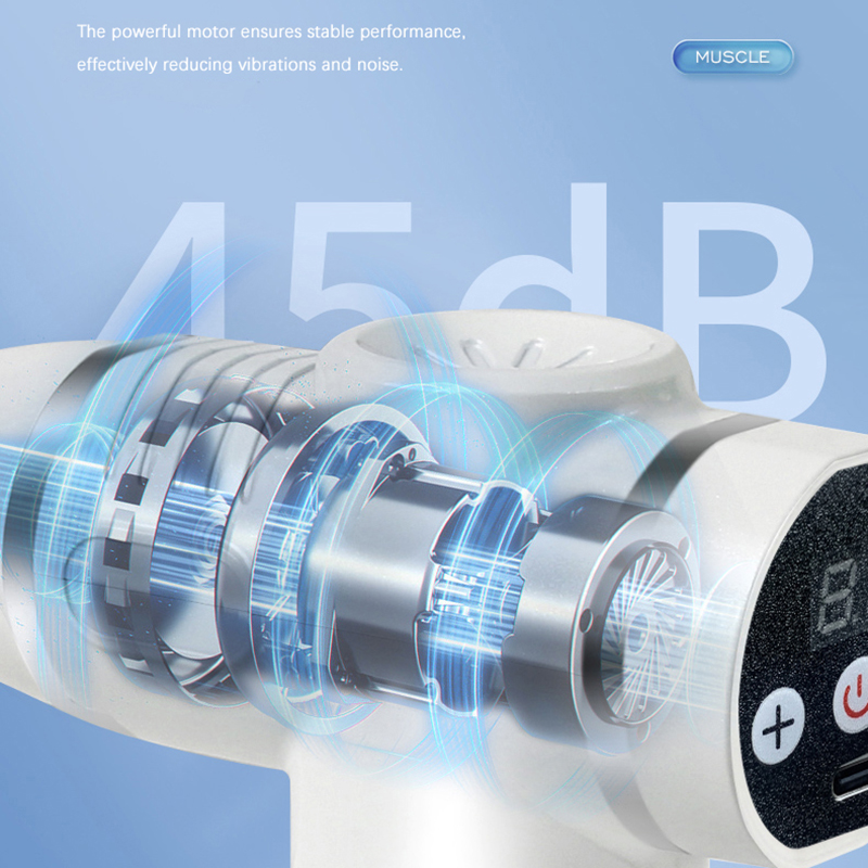 Pistola massaggiante con 12 te - Health Wellness Massage recensione e prezzo