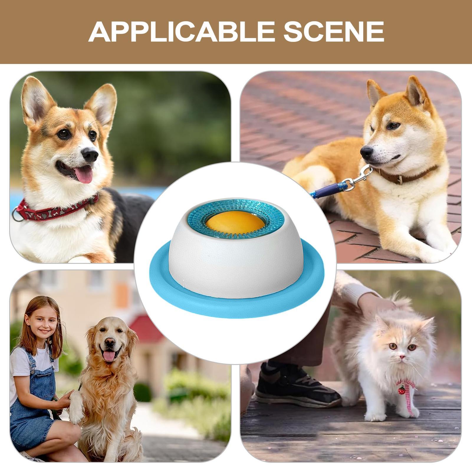 Giocattolo per cani, accessori - Health Wellness Items recensione e prezzo